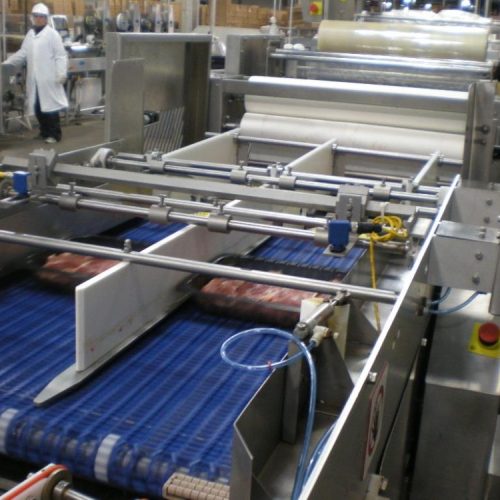 Reiser Ross Model S90X 2 Lane Modified Atmosphere Inpack Tray Sealer