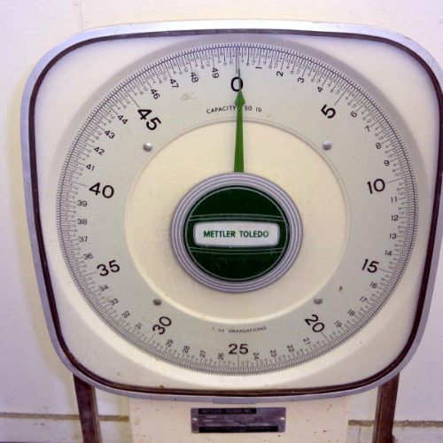 Mettler Toledo Model 2020, 50 Pound Capacity Mechanical Dial Scale