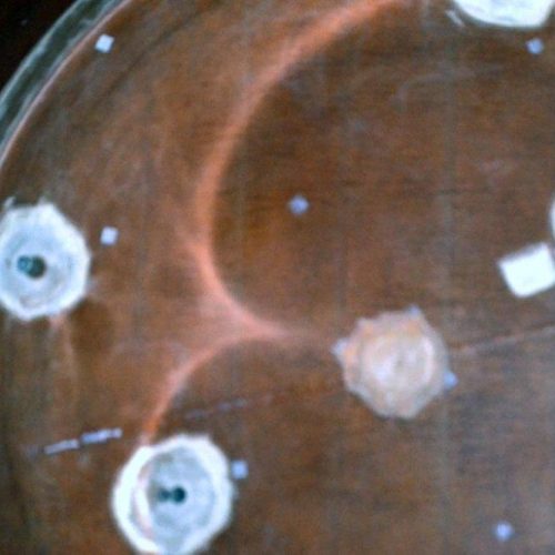 18,000 Gallon Air Plastics Vertical Fiberglass Storage Tank