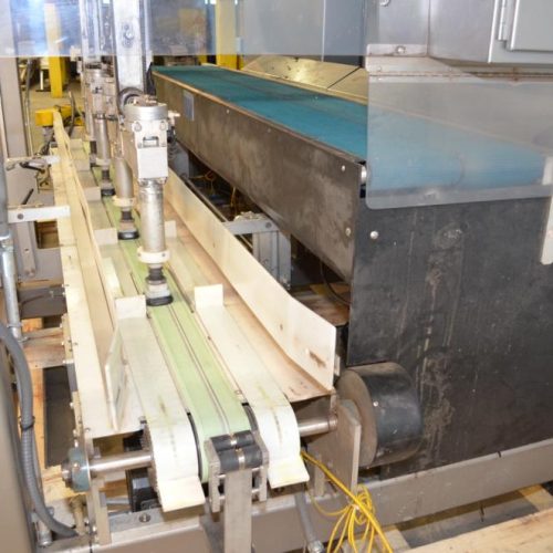 Fallas Quattro Two Axis 125ppm Robotic Gantry Case Packer