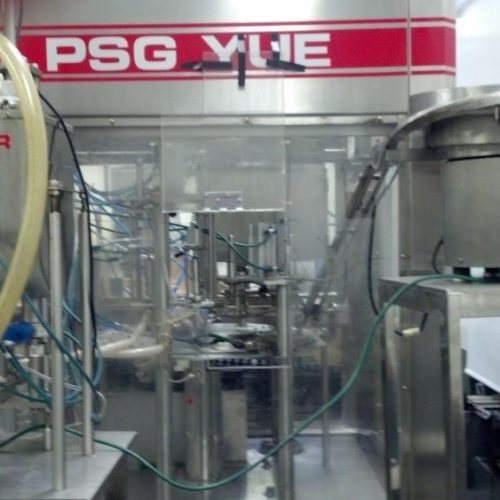 PSG YUE Model 20 S/S Rotary Pre Formed Pouch Filling and Capping Machine