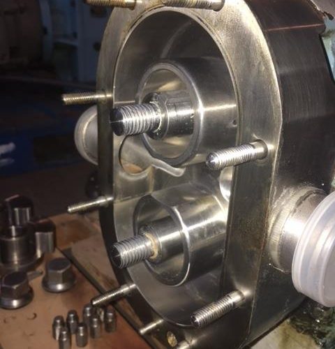 Waukesha Model 30U2 5 HP S/S Positive Displacement Pump