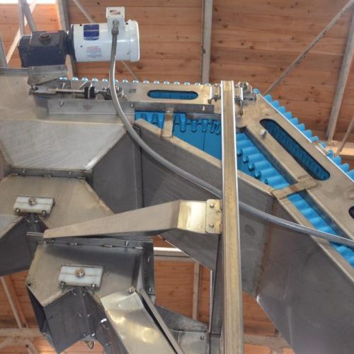 Sanitary Rubber Cleated Synchronized Side 17 in W x 13 Ft H Z-Shaped Incline Conveyor