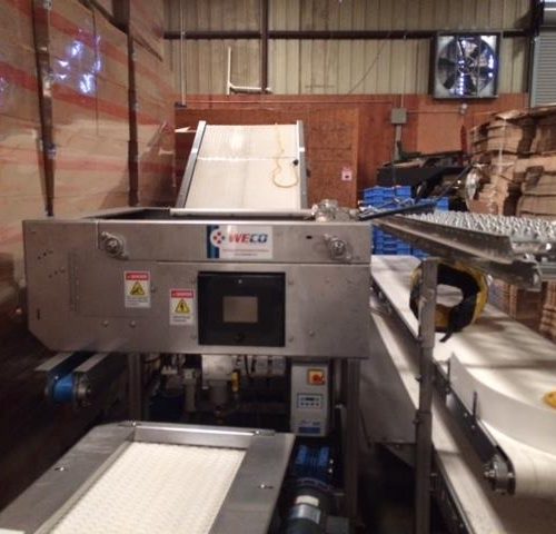A and B Packing Fruit Vegetable Weigh and Fill Packaging Line