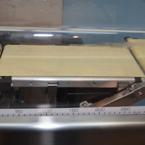 Ishida Model DACSWN003SBPBI 1,000 Gram Max Capacity S/S Checkweigher