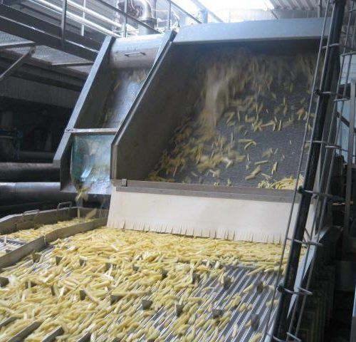Complete 20,000 Pound Per Hour Capacity French Fry Processing Line