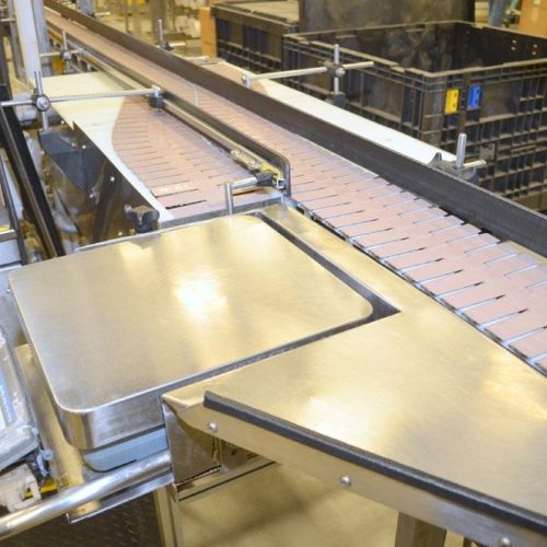 EPak Model 25 S/S Line Conveyor