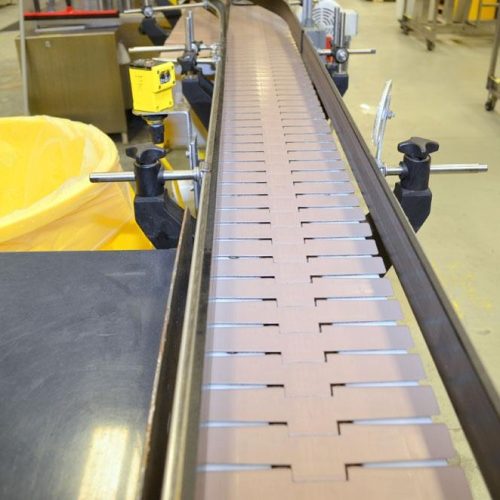 EPak Model 25 S/S Line Conveyor