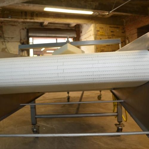 35 in W x 164 in L Keenline Plastic Interlocking Chain Conveyor