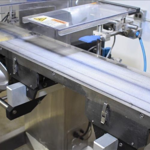 Mettler Toledo Model XS2 600 PPM S/S Checkweigher