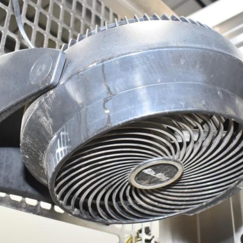 PolyPack Model IL24L S/S 20 TPM Shrink Bundler