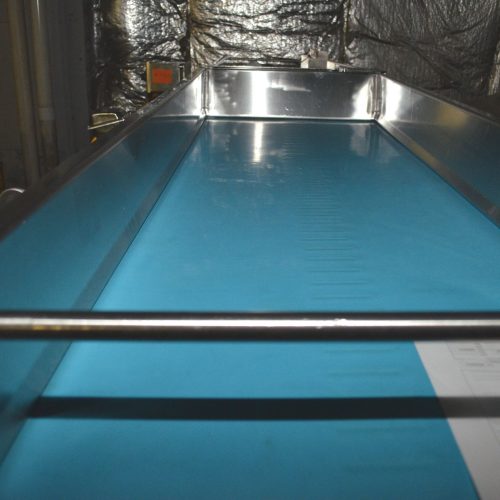 Kleenline 24 in W x 6 ft Long Straight Flat Rubber Sanitary Belt Conveyor