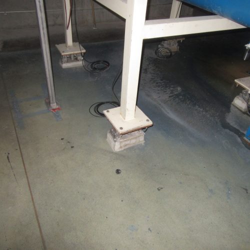 Complete Grain Processing System Including Grain Roller, Hopper, and Elevator