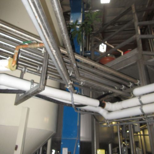 Complete Grain Processing System Including Grain Roller, Hopper, and Elevator