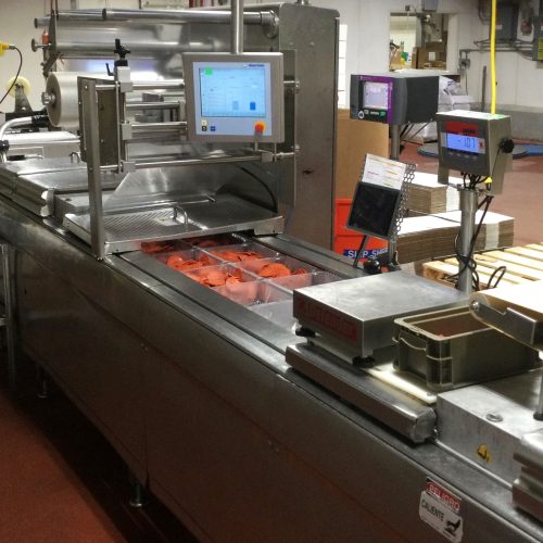 Multivac Model R245 S/S Thermoformer