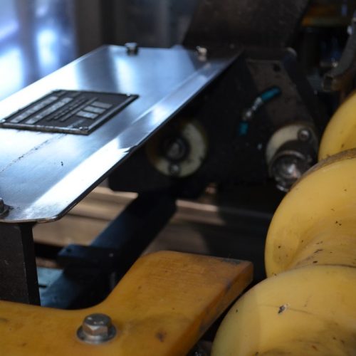 Pack West Model Royal-8 (8) Head S/S Rotary Screw Capper