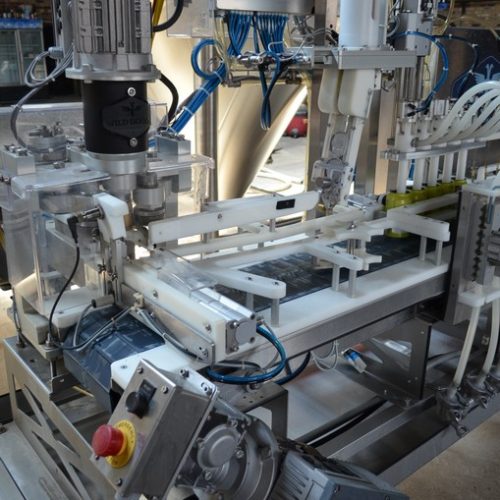 Wild Goose Model WGC250 Complete (4) Head Canning  Line