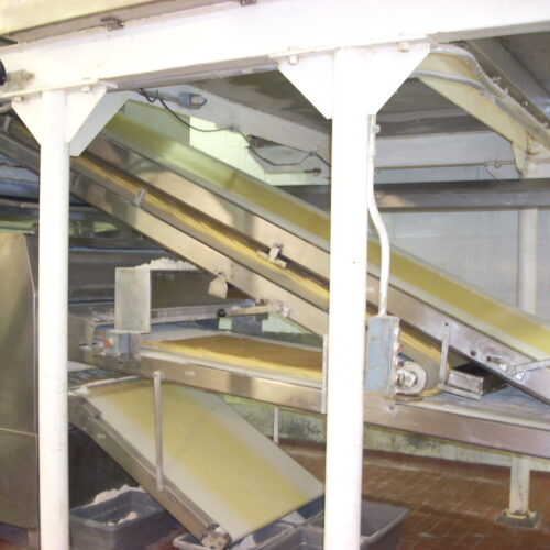 Complete Rademaker S/S Danish Production Line