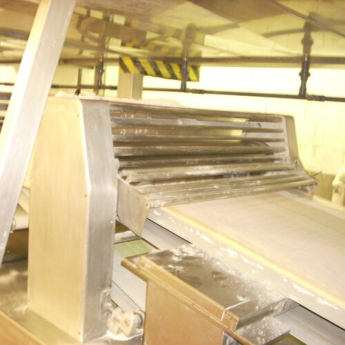 Complete Rademaker S/S Danish Production Line