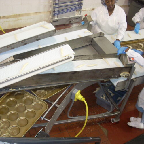 Complete Rademaker Croissant Production Line