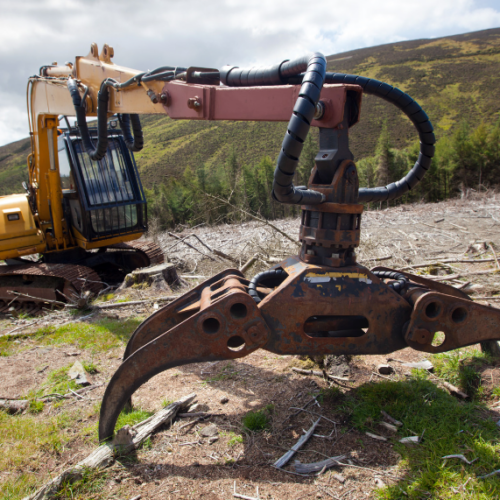 Forestry Term Loan Loeb