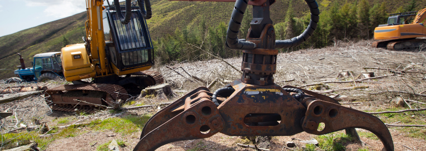 Forestry Term Loan Loeb