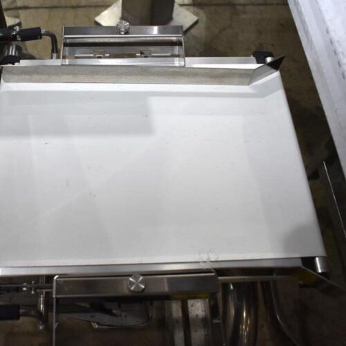 Ishida Model DACSGNS06034SSIS 6,000 Gram Capacity Checkweigher