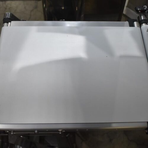 Ishida Model DACSGNS06034SSIS 6,000 Gram Capacity Checkweigher