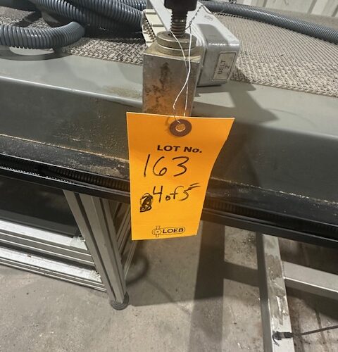 Boix Model Q4000 Automatic Hot Melt Cartoner