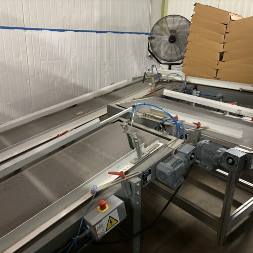 Boix Model Q4000 Automatic Hot Melt Cartoner